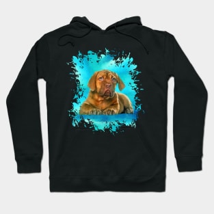 Dogue de Bordeaux Puppy Hoodie